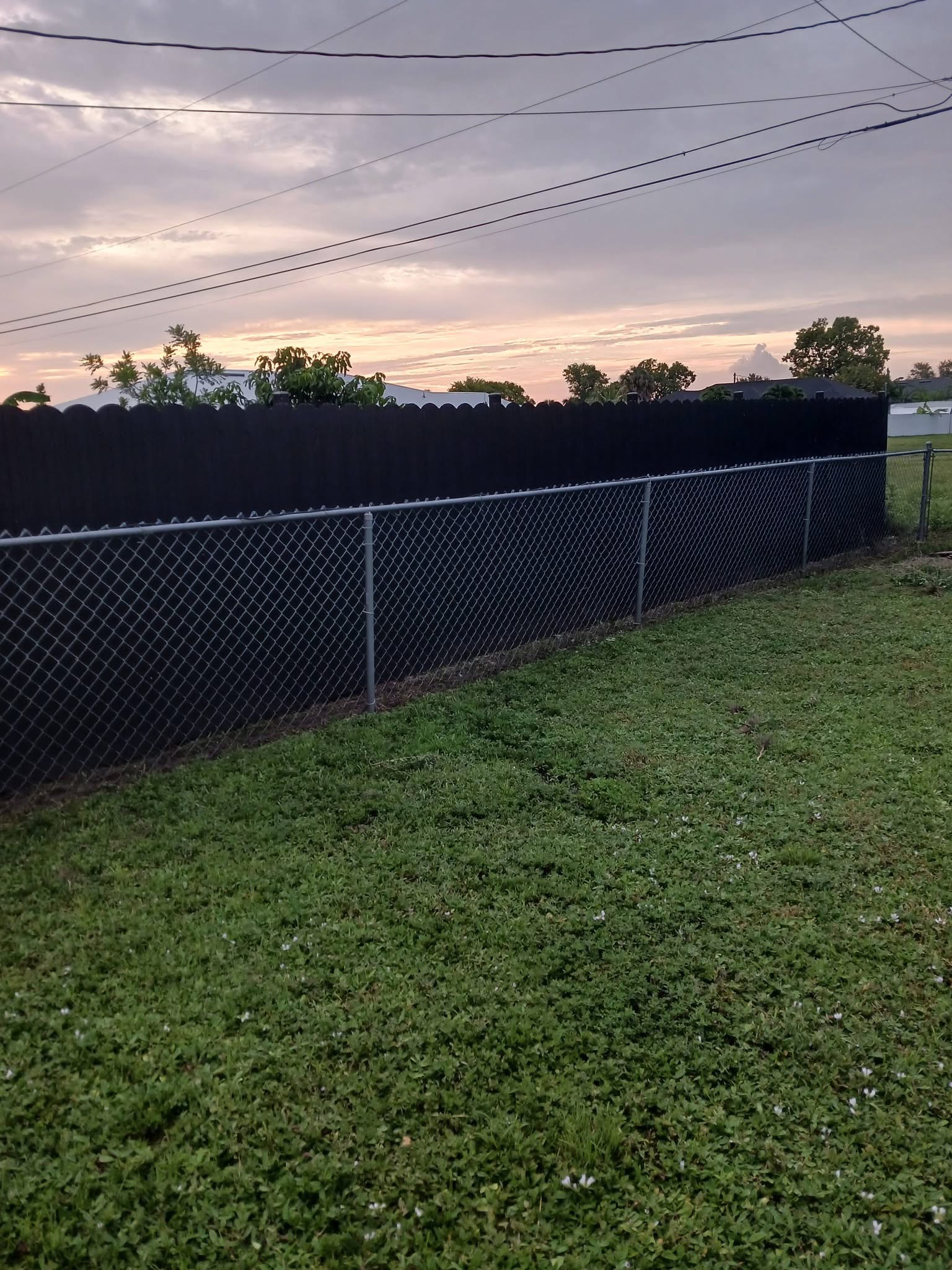 Recent Rowland's Removal property work