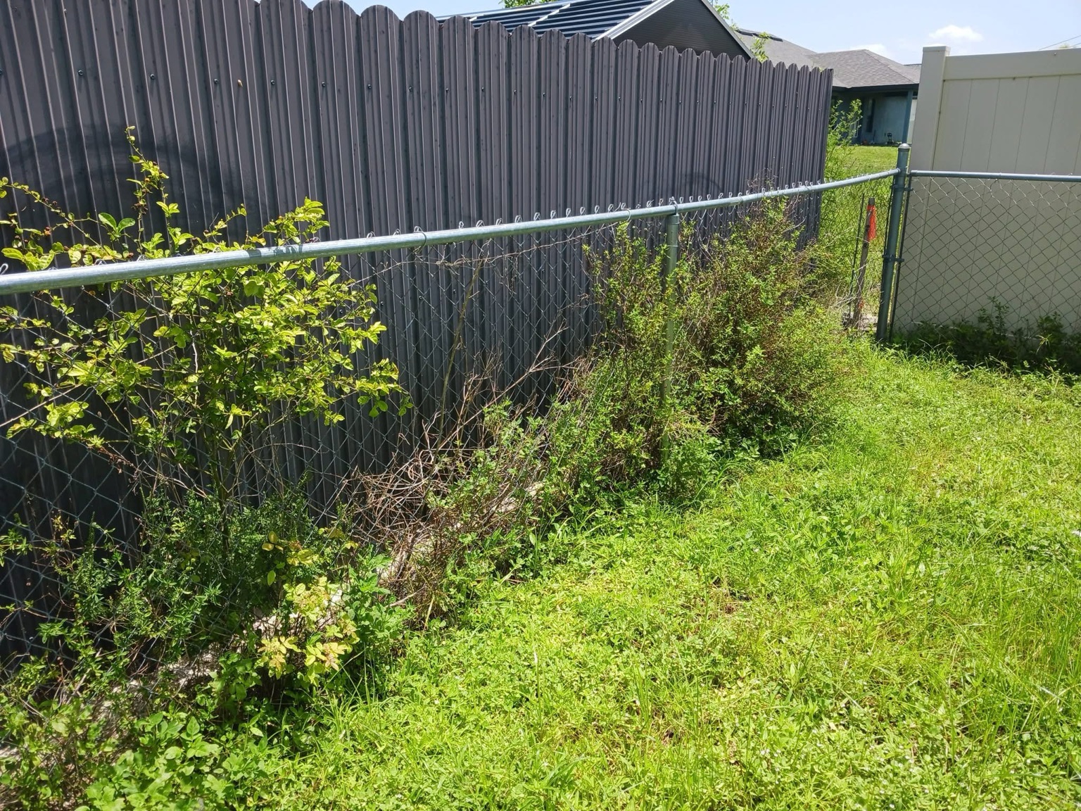 Recent Rowland's Removal property work