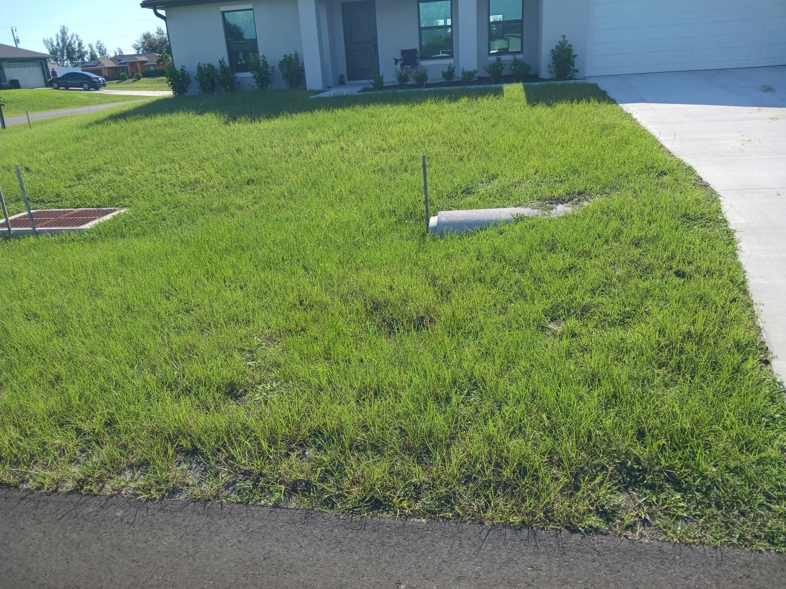 Recent Rowland's Removal property work