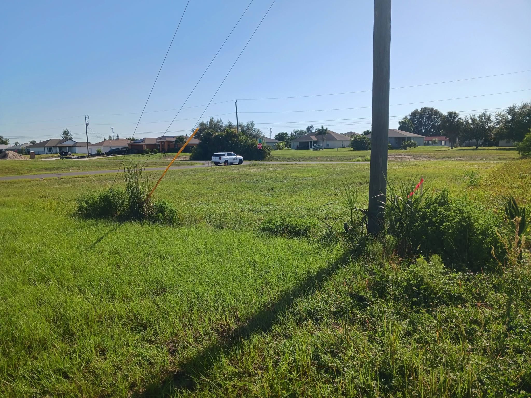 Recent Rowland's Removal property work