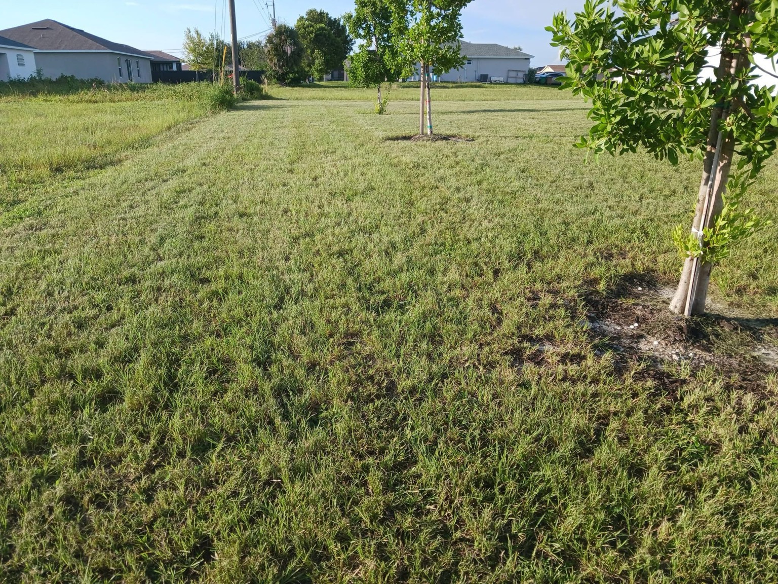 Recent Rowland's Removal property work